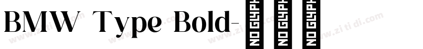 BMW Type Bold字体转换
